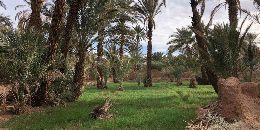 REVEILLON DANS LES DUNES DE TAZARINE – MAROC #5
