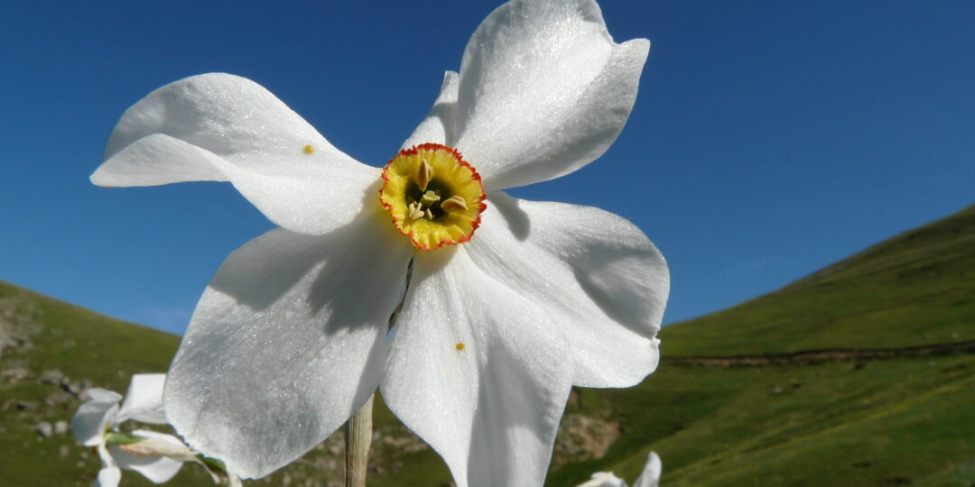 🌿 Un Grand Week-End de 4 Jours pour Se Ressourcer 🌿 Randonnée – Patrimoine – Bien-Être – Gastronomie #4