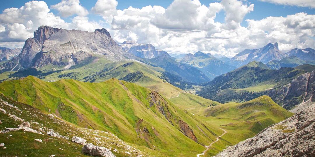 DANS MA GRANGE PYRÉNÉENNE #0