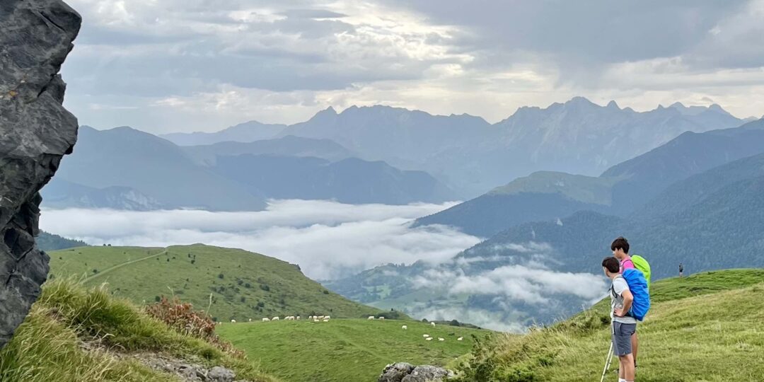 DANS MA GRANGE PYRÉNÉENNE #1