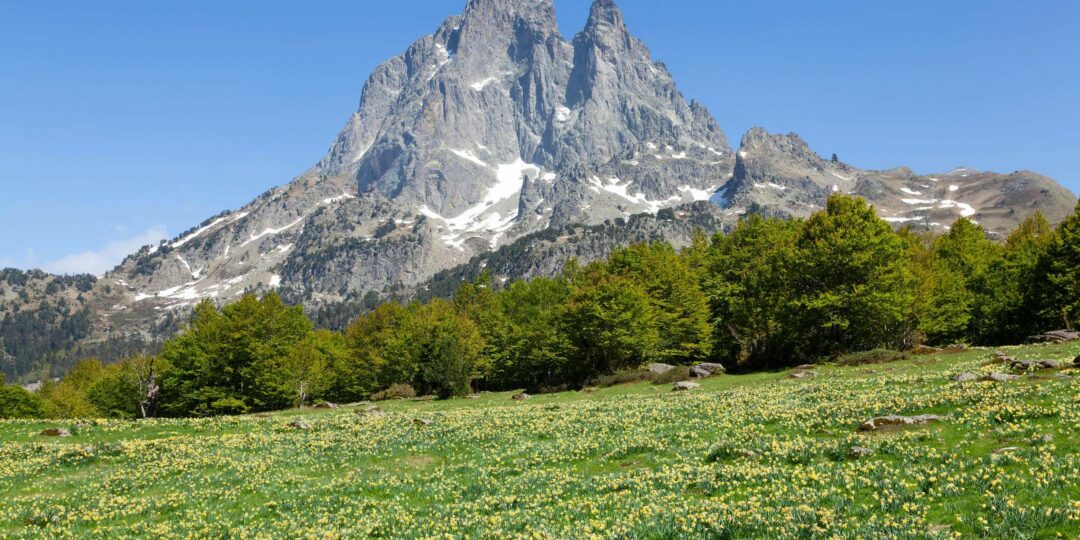 DANS MA GRANGE PYRÉNÉENNE #3