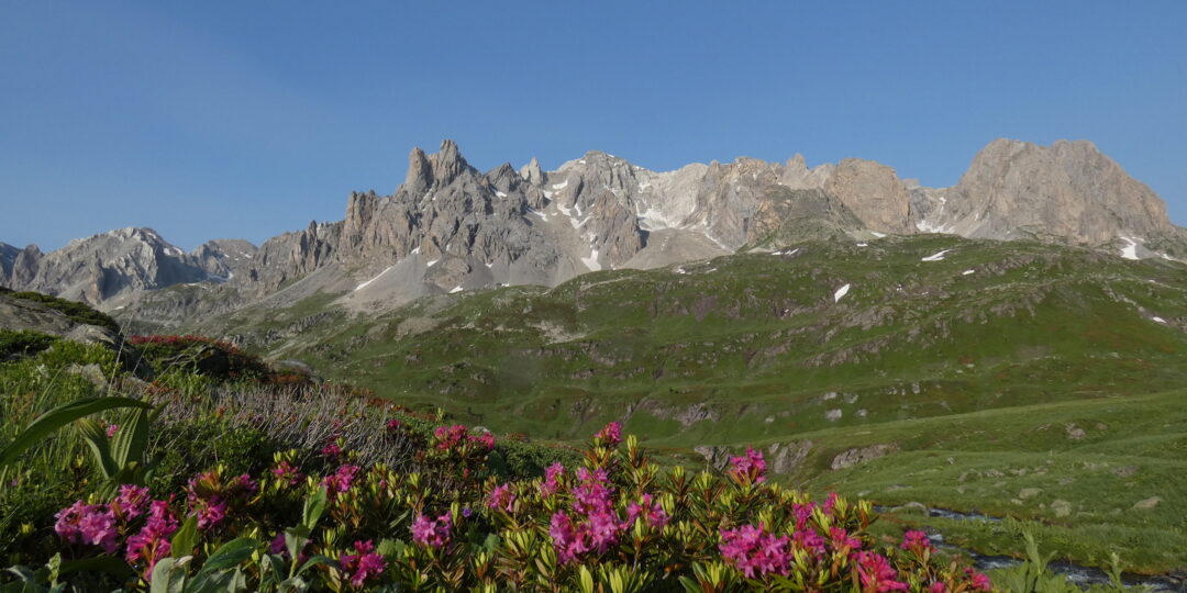 DECOUVERTE DE LA HAUTE CLAREE #5