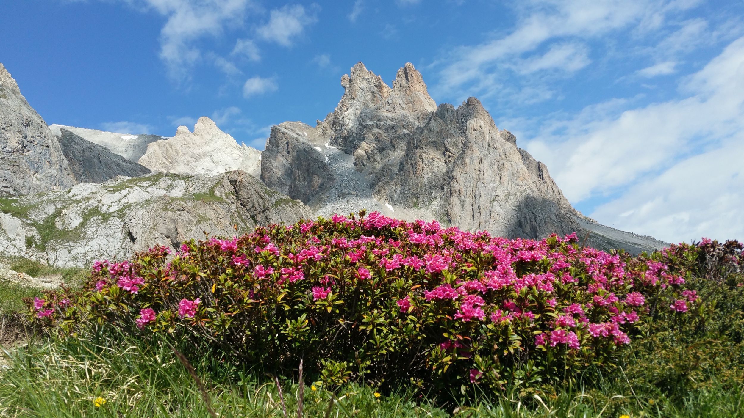DECOUVERTE DE LA HAUTE CLAREE