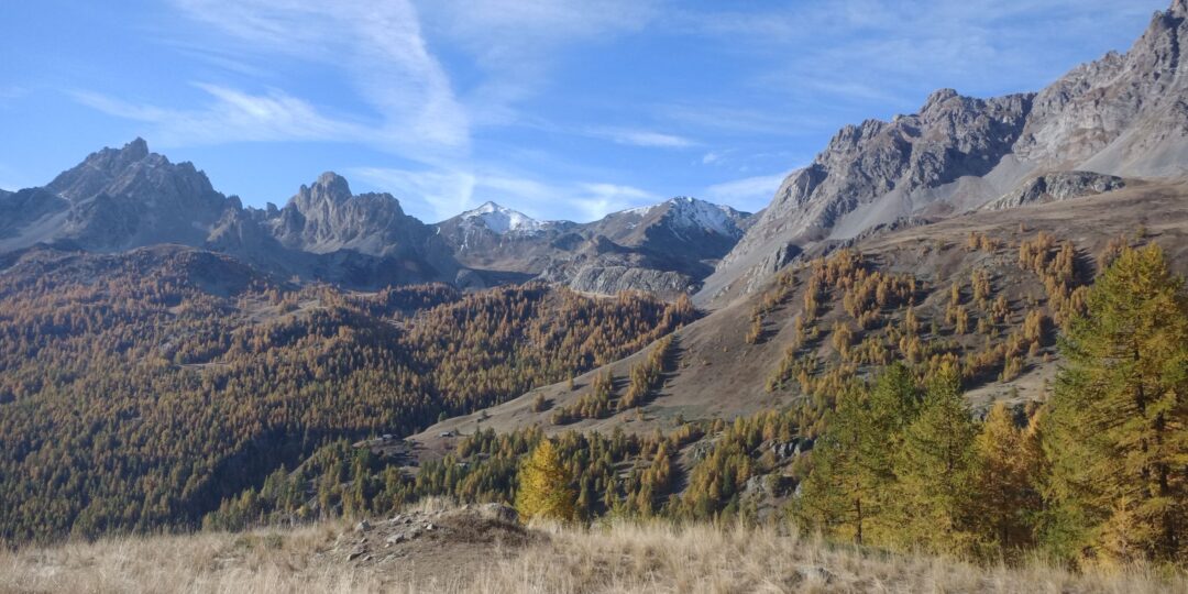 DECOUVERTE DE LA HAUTE CLAREE #2