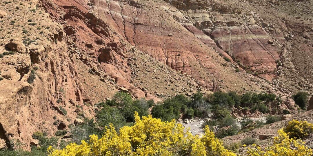 VALLÉE DES ROSES – Sud est Marocain #1