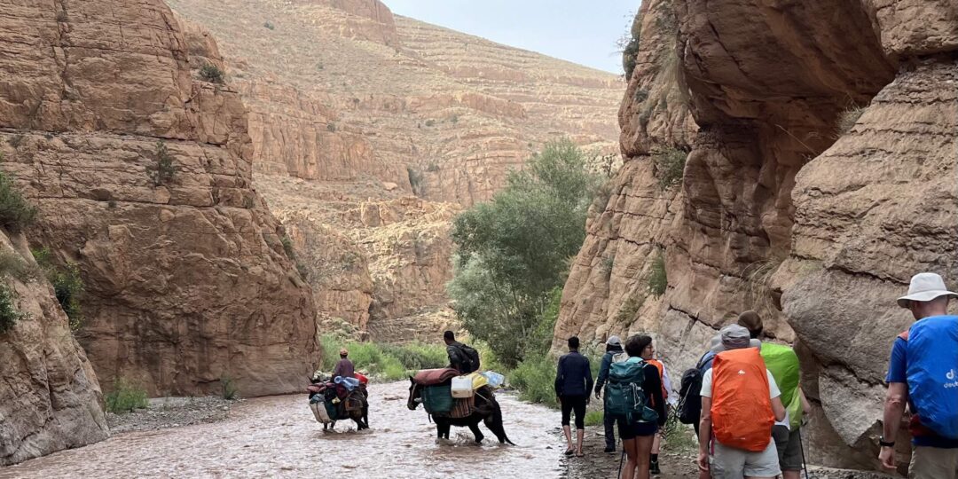 VALLÉE DES ROSES – Sud est Marocain #4