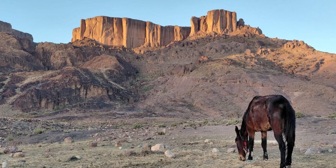 LE DJEBEL SAGHRO – MAROC #4