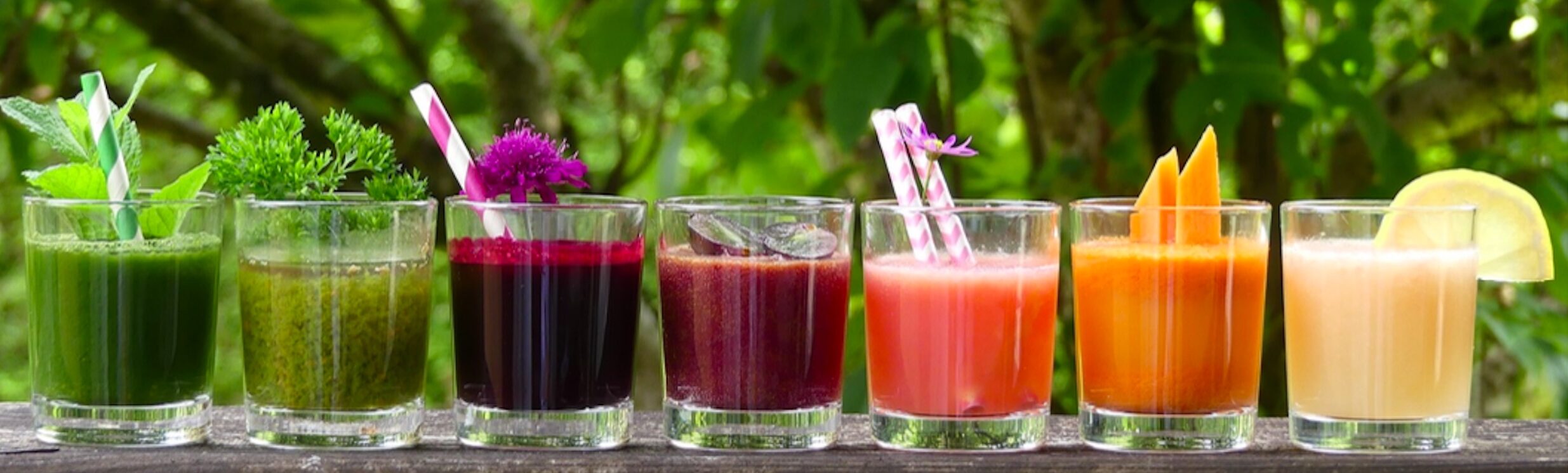 RANDONNEES DOUCES, BIEN ETRE ET DETOX
